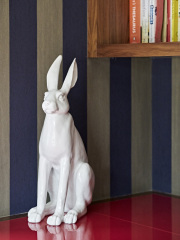 Hertfordshire bunny