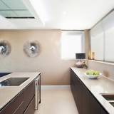 Lutron electric blinds