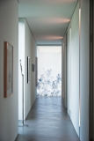 Electric roller blind Herba Creation Baumann