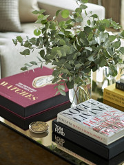 Books and plant on coffee table