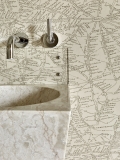 Designer basin and tap